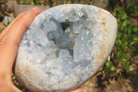 Polished Celestite Egg Geodes x 2 From Madagascar