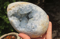 Polished Celestite Egg Geodes x 2 From Madagascar