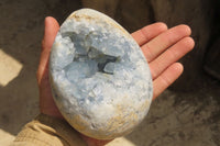 Polished Celestite Egg Geodes x 2 From Madagascar