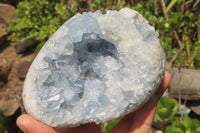 Polished Celestite Egg Geodes x 2 From Madagascar