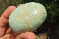 Polished Amazonite Palm Stones x 15 from Zimbabwe