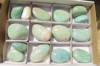 Polished Amazonite Palm Stones x 15 from Zimbabwe