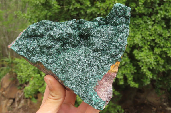 Natural Crystalline Malachite Specimen x 1 From Kasompe, Congo