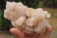 Natural Spirit Quartz Clusters x 3 From Boekenhouthoek, South Africa