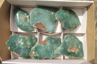 Polished On One Side Emerald Mtorolite Plates x 6 From Mutorashanga, Zimbabwe