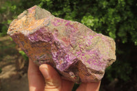 Natural Stichtite Cobbed Specimens x 4 From Barberton, South Africa