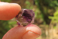 Natural Smokey Amethyst Crystals x 70 From Chiredzi, Zimbabwe