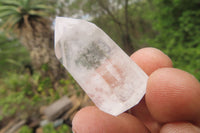 Polished Clear Quartz Crystals x 35 From Madagascar