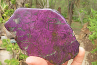 Polished On One Side Metallic Purpurite Specimens x 3 From Namibia