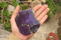 Polished On One Side Metallic Purpurite Specimens x 3 From Namibia