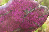 Polished On One Side Metallic Purpurite Specimens x 3 From Namibia