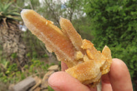 Natural Limonite Fairy Spirit Quartz Clusters x 9 From Boekenhouthoek, South Africa