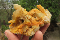 Natural Limonite Fairy Spirit Quartz Clusters x 9 From Boekenhouthoek, South Africa