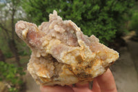 Natural Limonite Fairy Spirit Quartz Clusters x 9 From Boekenhouthoek, South Africa