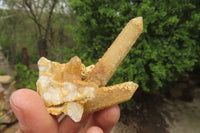 Natural Limonite Fairy Spirit Quartz Clusters x 9 From Boekenhouthoek, South Africa