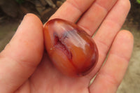 Polished Carnelian Gemstone Eggs x 20 From Madagascar