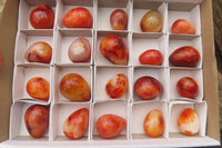 Polished Carnelian Gemstone Eggs x 20 From Madagascar