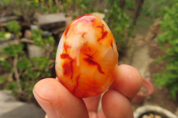 Polished Carnelian Gemstone Eggs x 20 From Madagascar