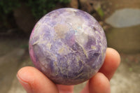 Polished Lepidolite Spheres x 6 From Ambatondrazaka, Madagascar