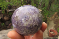 Polished Lepidolite Spheres x 6 From Ambatondrazaka, Madagascar