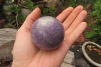 Polished Lepidolite Spheres x 6 From Ambatondrazaka, Madagascar