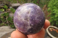 Polished Lepidolite Spheres x 6 From Ambatondrazaka, Madagascar