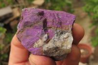 Natural Metallic Purpurite Cobbed Specimens x 14 From Erongo, Namibia