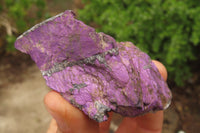 Natural Metallic Purpurite Cobbed Specimens x 14 From Erongo, Namibia