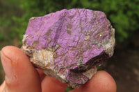 Natural Metallic Purpurite Cobbed Specimens x 14 From Erongo, Namibia