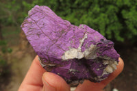 Natural Metallic Purpurite Cobbed Specimens x 14 From Erongo, Namibia