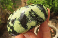 Polished Leopard Stone Free Forms x 6 From Nyanga, Zimbabwe