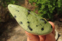 Polished Leopard Stone Free Forms x 6 From Nyanga, Zimbabwe