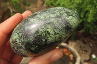 Polished Leopard Stone Free Forms x 6 From Nyanga, Zimbabwe