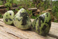 Polished Leopard Stone Free Forms x 6 From Nyanga, Zimbabwe