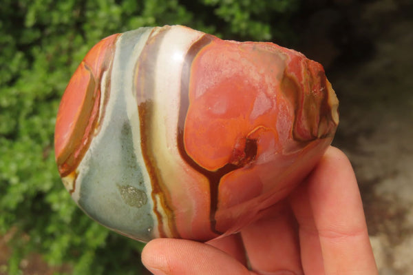 Polished On One Side Polychrome Jasper Nodules x 4 From Mahajanga, Madagascar