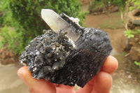 Natural Black Tourmaline With Hyalite Opal Specimens x 6 From Namibia