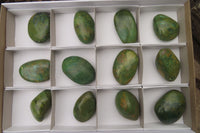 Polished Green Verdite Palm Stones x 12 From Zimbabwe