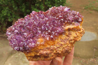 Natural Amethystos Amethyst Specimens x 5 From Kwaggafontein, South Africa