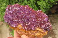 Natural Amethystos Amethyst Specimens x 5 From Kwaggafontein, South Africa