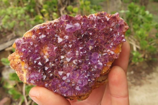 Natural Amethystos Amethyst Specimens x 5 From Kwaggafontein, South Africa