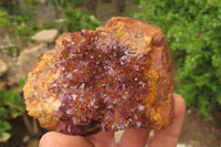 Natural Amethystos Amethyst Specimens x 5 From Kwaggafontein, South Africa