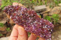 Natural Amethystos Amethyst Specimens x 5 From Kwaggafontein, South Africa