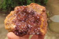 Natural Amethystos Amethyst Specimens x 5 From Kwaggafontein, South Africa