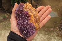 Natural Amethystos Amethyst Specimens x 5 From Kwaggafontein, South Africa