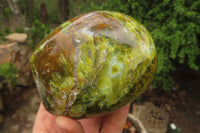 Polished Green Opal Standing Free Forms x 2 From Antsirabe, Madagascar