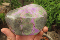 Polished Stichtite Free Forms x 2 From Barberton, South Africa