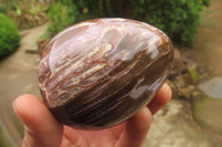 Polished Red Podocarpus Petrified Wood Eggs & Spheres x 4 From Madagascar