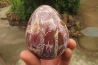 Polished Red Podocarpus Petrified Wood Eggs & Spheres x 4 From Madagascar