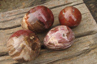 Polished Red Podocarpus Petrified Wood Eggs & Spheres x 4 From Madagascar