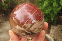 Polished Red Podocarpus Petrified Wood Eggs & Spheres x 4 From Madagascar